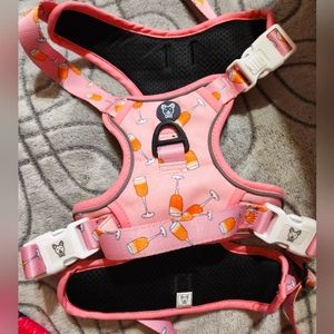 Beast & Buckle XL pink harness